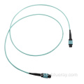 1M OM3/OM4 8/12/24F MPO/MTP Fiber Optic Patch Cord